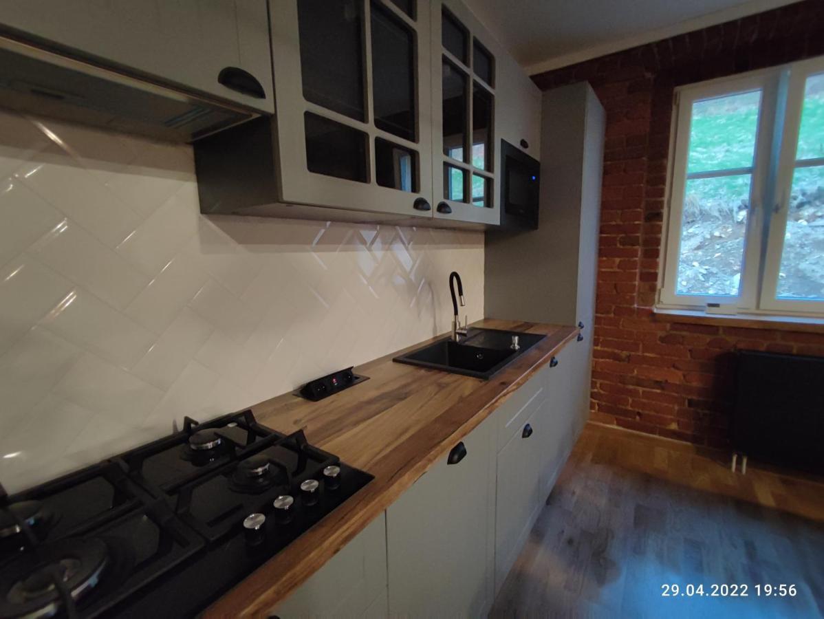 Izerska Weranda - Gorski Apartament 120M2 Świeradów-Zdrój Екстериор снимка